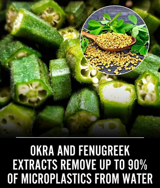 🌿 Why Natural Fibers Matter: Health, Sustainability, and the Hidden Cost of Synthetics